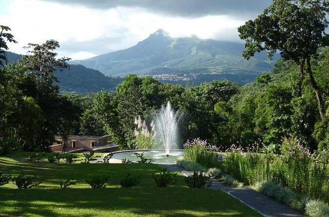 North Tour: rainforest, rum distillery, black sand beach etc - Final Thoughts