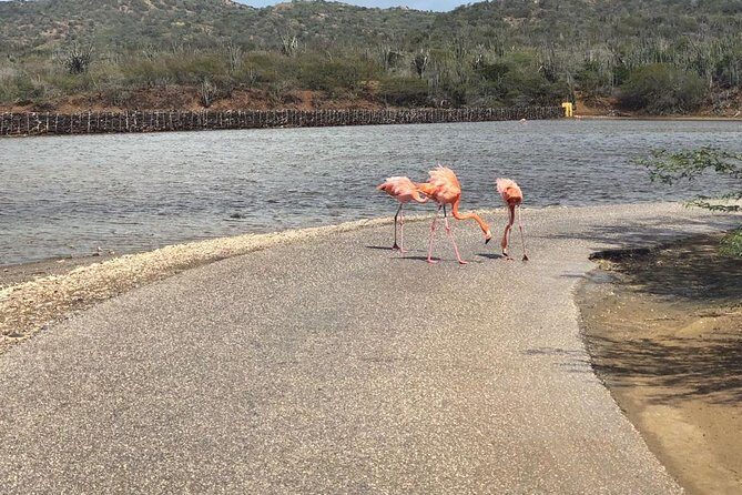 North Tour with Local Guide - Key Points