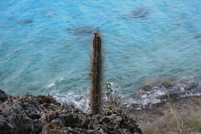 North Tour with Local Guide - Visiting Iconic and Scenic Spots