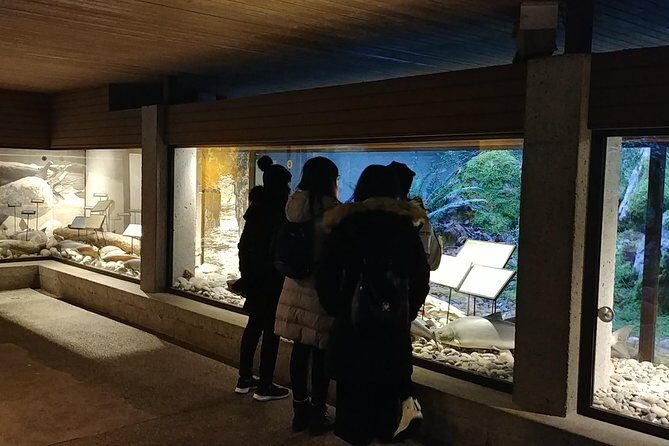 North Vancouver Discovery Private Tour - A Deep Dive into the North Vancouver Private Tour Experience