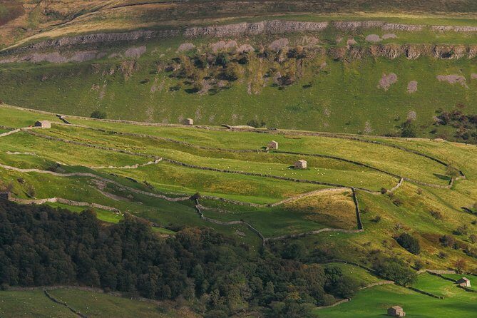North York Moors and Whitby Day Tour from York - Final Thoughts: Who Would Love This Tour?
