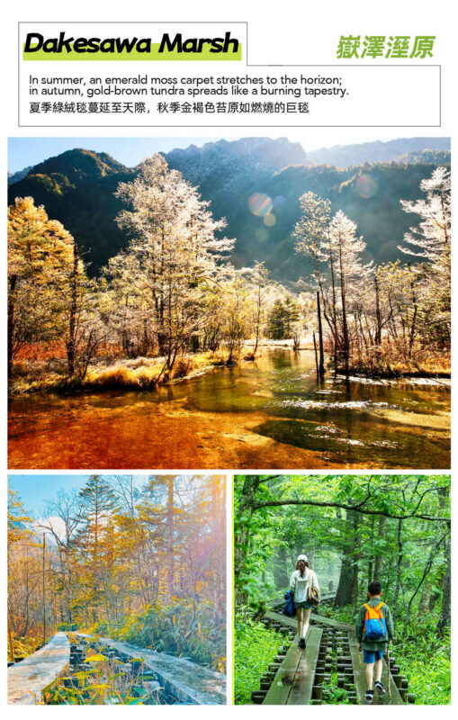 Northern Alps Scenic View - Kamikochi Day Trip: Kappa Bridge, Taisho Pond, Azusa River Light Hike (Round trip from Nagoya) - The long ride earns its keep