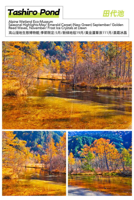 Northern Alps Scenic View - Kamikochi Day Trip: Kappa Bridge, Taisho Pond, Azusa River Light Hike (Round trip from Nagoya) - Myojin Pond: beautiful, but plan the distance
