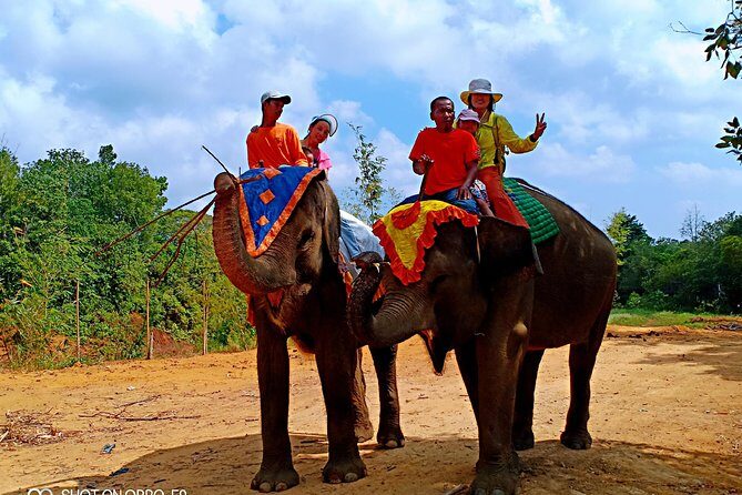 Northern Bintan Full Day Tour - Practical Details and Value