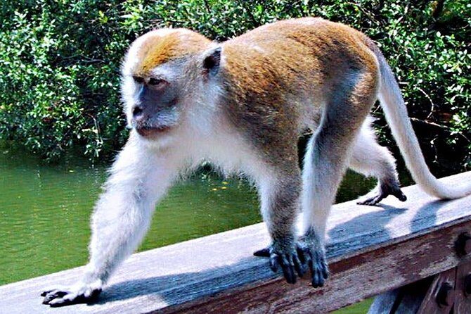 Northern Bintan Full Day Tour - Who Would Enjoy This Tour?