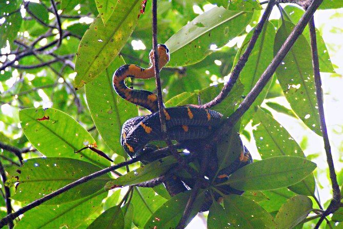 Northern Bintan Full Day Tour - In Closing