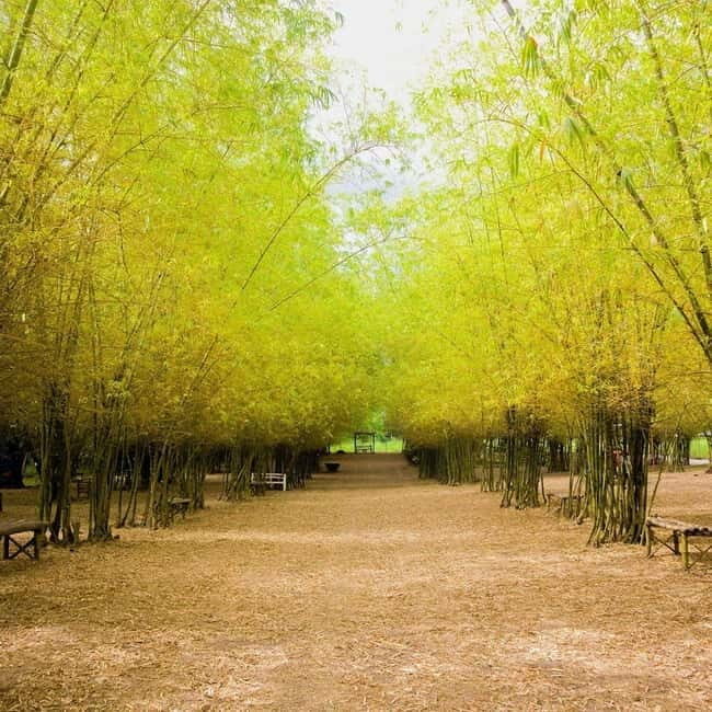 Northern Cebu Adventure Tour - Exploring the Tour’s Highlights in Detail