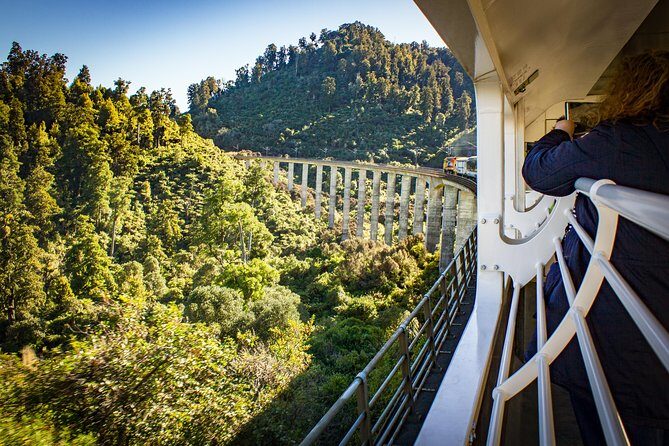 Northern Explorer Train Journey from Auckland to Wellington - Who Should Consider This Trip?