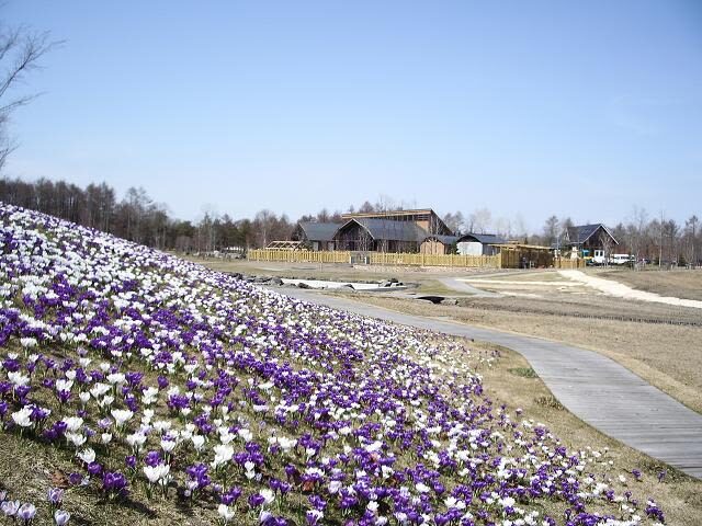Northern Horse Park Ticket in Tomakomai, Hokkaido - Gardens, forest paths, and the Deep Impact Gate