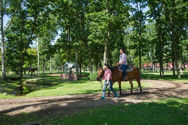 Northern Horse Park Ticket in Tomakomai, Hokkaido - The carriage ride and other optional activities