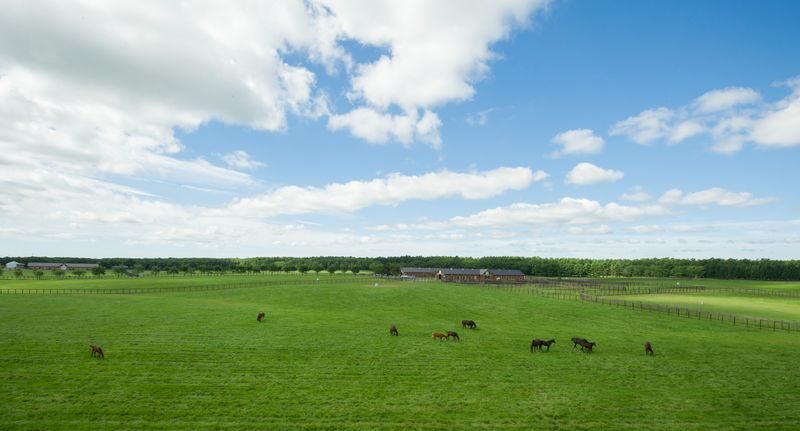 Northern Horse Park Ticket in Tomakomai, Hokkaido - Choosing summer or winter