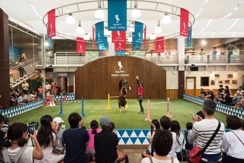 Northern Horse Park Ticket in Tomakomai, Hokkaido - Is the ticket good value?