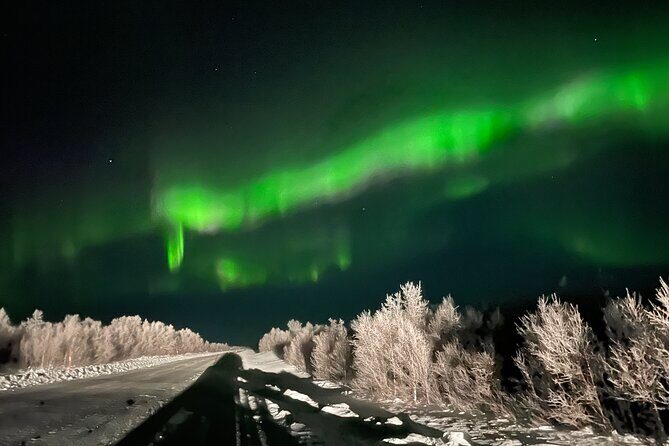 Northern Light hunt with minibus to Abisko 7:30 pm - The Itinerary: A Scenic Journey Through Arctic Landmarks