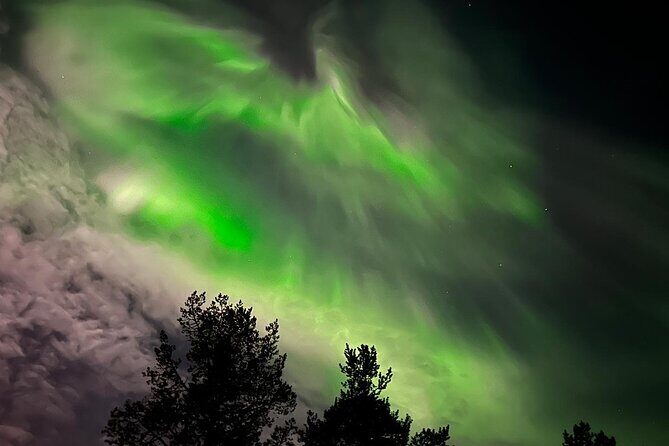 Northern Light hunt with minibus to Abisko 7:30 pm - Guides and Personal Touches