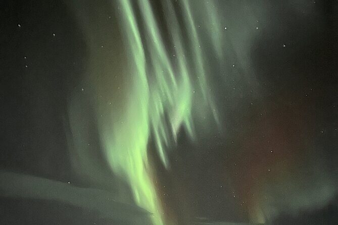 Northern Light hunt with minibus to Abisko 7:30 pm - The Experience: What to Expect