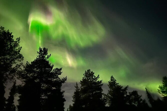 Northern Light hunt with minibus to Abisko 7:30 pm - Comfort and Practical Tips