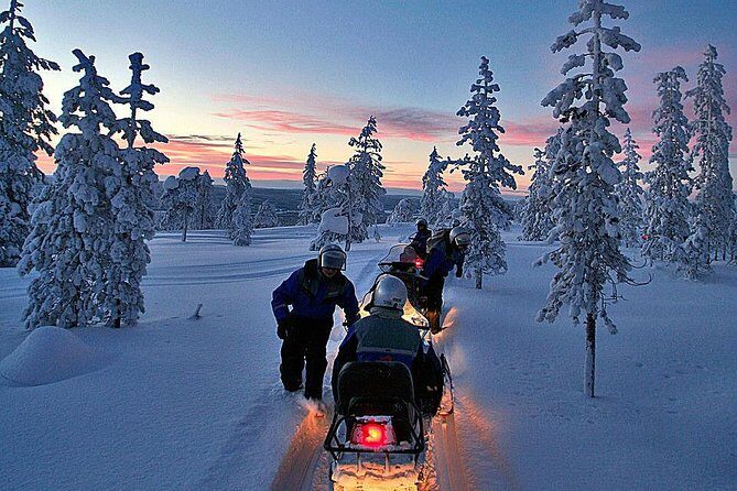 Northern Light Safari by Snowmobiles From Levi - Who Is This Tour Best For?