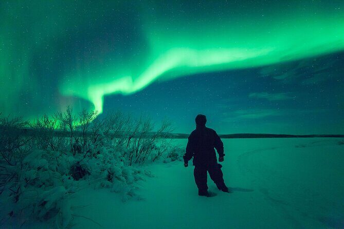 Northern Light Safari by Snowmobiles From Levi - Final Thoughts