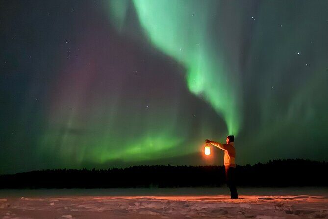 Northern Lights Adventure in the Wild with Campfire Treats - Why We Love This Tour