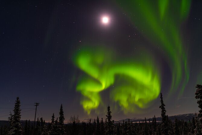 Northern Lights Adventure of a Liftetime from Anchorage - Key Points