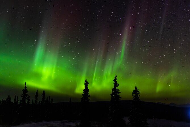 Northern Lights Adventure of a Liftetime from Anchorage - FAQs