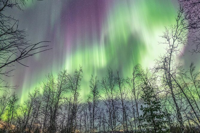 Northern Lights Adventure with Greenlander, 8 people max - The Value of the Experience