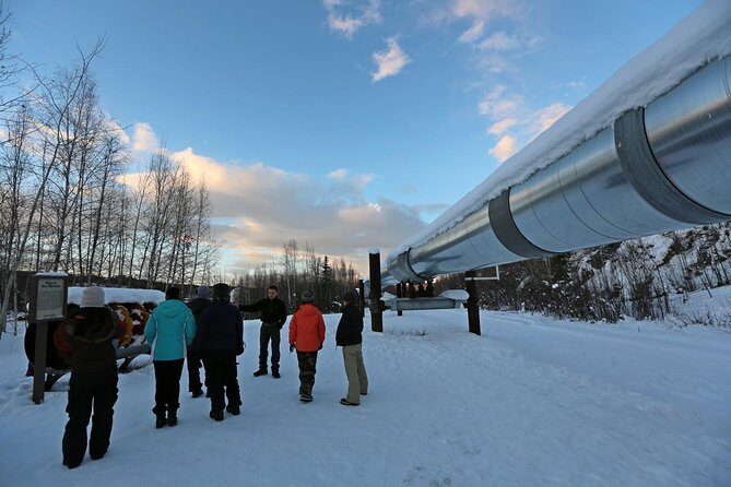 Northern Lights and Arctic Circle Trip from Fairbanks - Key Points