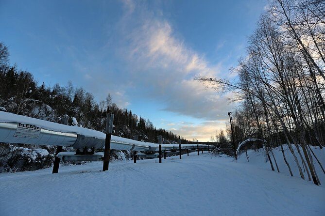 Northern Lights and Arctic Circle Trip from Fairbanks - Final Thoughts: Is This Tour for You?