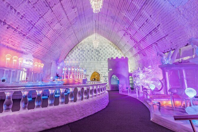 Northern Lights and Chena Hot Springs Night Tour from Fairbanks - Overall Value and Experience