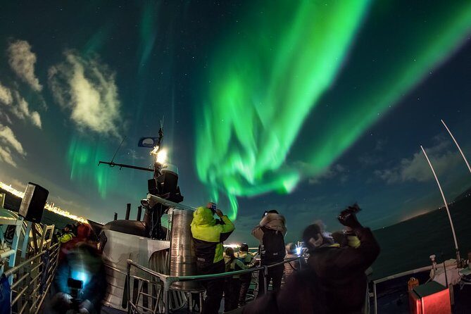 Northern Lights by Boat with a Backup Plan from Reykjavik - Final Thoughts