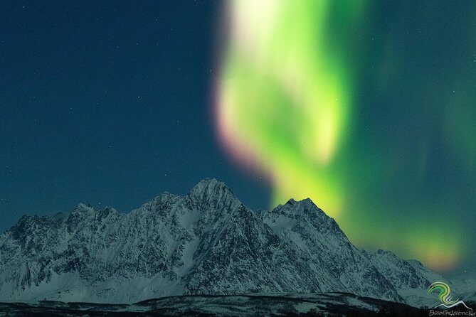 Northern Lights by Minibus. Photos Under the Lights included. Tromso - Frequently Asked Questions