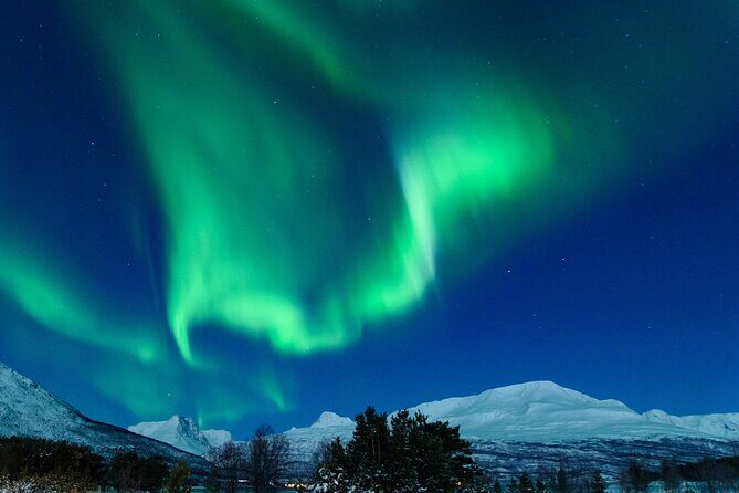 Northern Lights Chase by Bus in Tromso - An In-Depth Look at the Northern Lights Chase by Bus in Tromsø