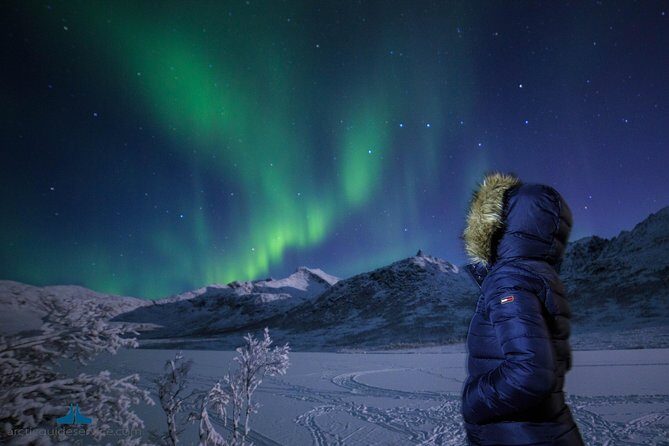 Northern Lights Chase - An In-Depth Look at the Northern Lights Chase in Tromsø