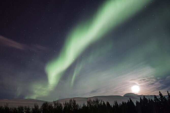 Northern Lights Classic Tour from Akureyri - An In-Depth Look at the Northern Lights Classic Tour from Akureyri