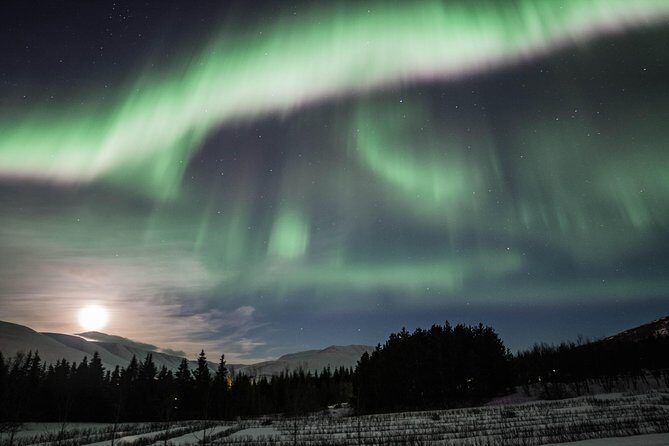 Northern Lights Classic Tour from Akureyri - Who Should Consider This Tour?