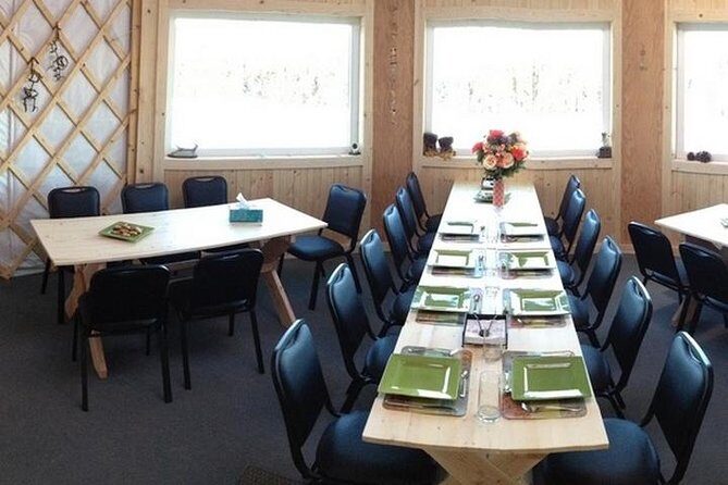 Northern Lights Experience and Cabin Dinner - An In-Depth Look at the Northern Lights Experience and Cabin Dinner