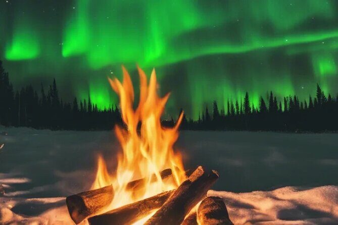 Northern Lights Experience - Experience the Northern Lights in Rovaniemi—A Small-Group Adventure