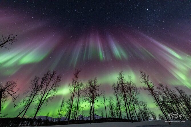 Northern Lights Guided Bus Tour with Snacks Hot drinks - The Experience in Detail