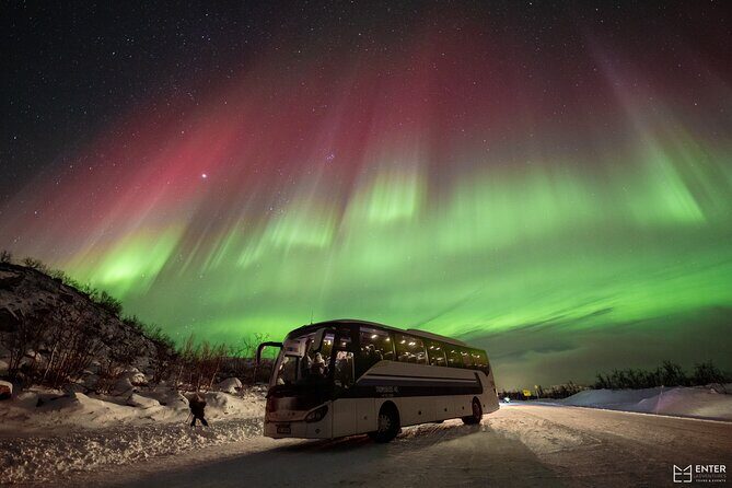 Northern Lights Guided Bus Tour with Snacks Hot drinks - Who Would Love This Tour?