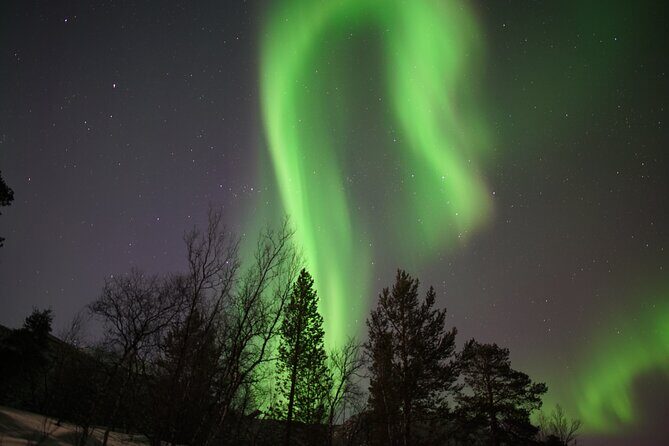 Northern Lights Hunt - A Detailed Look at the Northern Lights Hunt