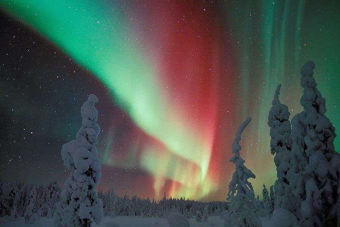 Northern Lights Hunt Including Snacks on Campfire from Levi - Who Should Consider This Tour?