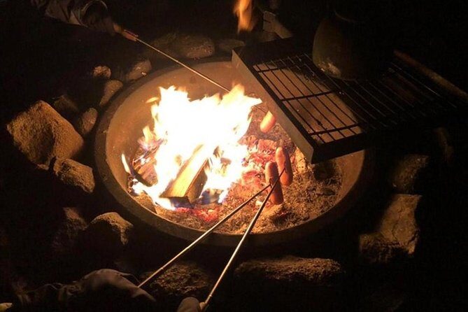 Northern Lights Hunt Including Snacks on Campfire from Levi - Final Thoughts