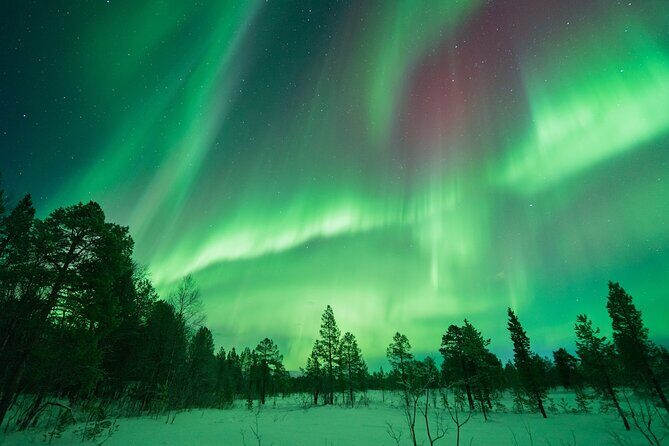 Northern Lights Hunt with The Green Adventure - photos included - Final Thoughts: Is It Worth It?