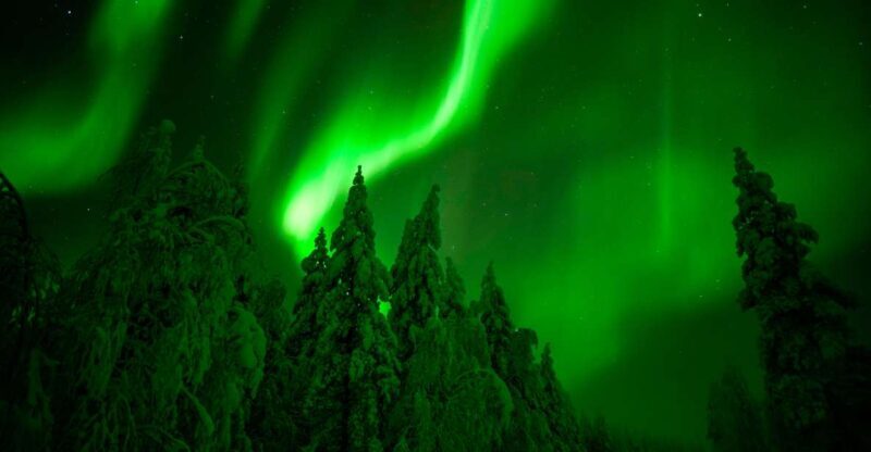 Northern Lights Hunting Adventure in Lapland - Who Should Consider This Tour?