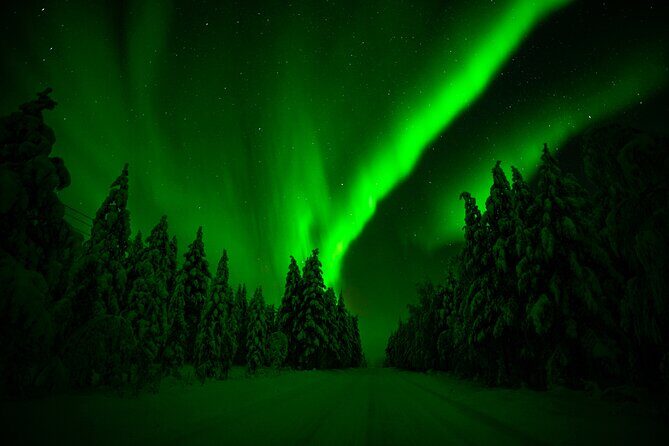 Northern Lights Hunting Adventure in Lapland - Key Points