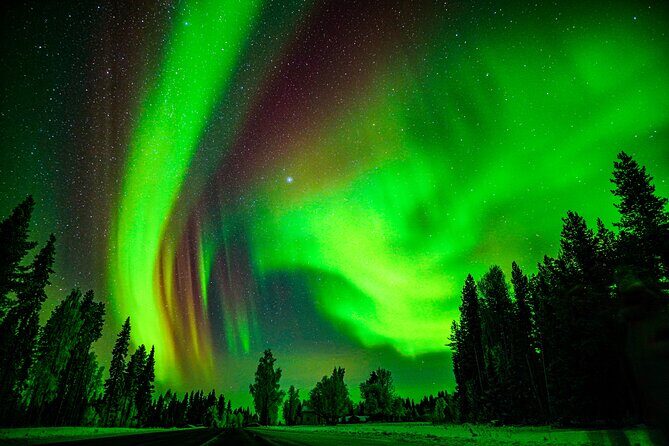 Northern Lights Hunting Adventure in Lapland - FAQ