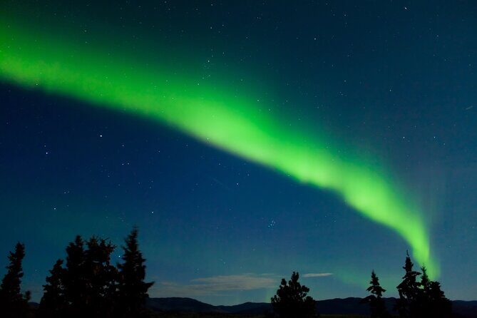 Northern Lights Hunting of Rovaniemi - Deep Dive into the Itinerary