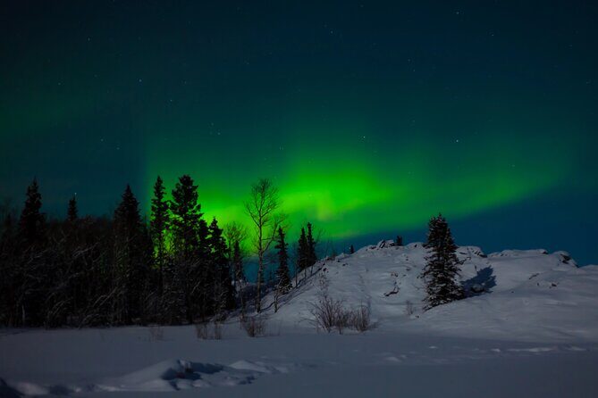 Northern Lights Hunting of Rovaniemi - Price and Value Analysis