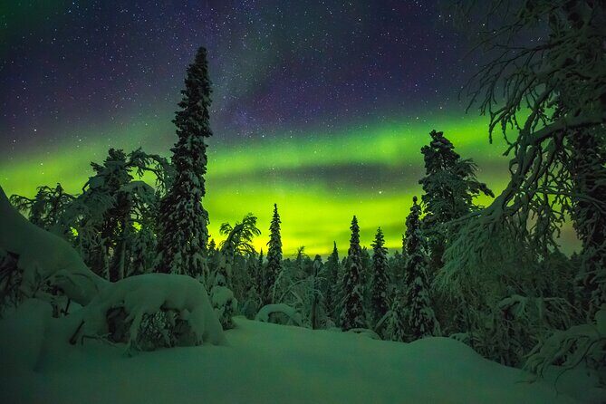 Northern Lights Hunting of Rovaniemi - Final Thoughts