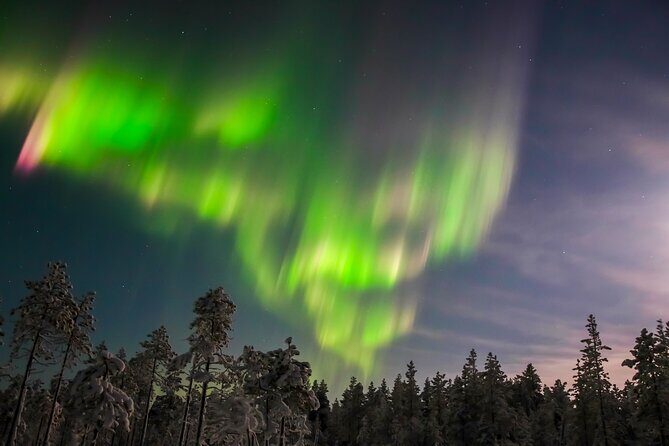 Northern Lights Hunting Photo Tour in Levi - Authentic Experiences and Honest Critiques